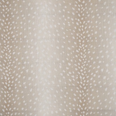 Maxwell Fabrics CHITAL 644 ECRU