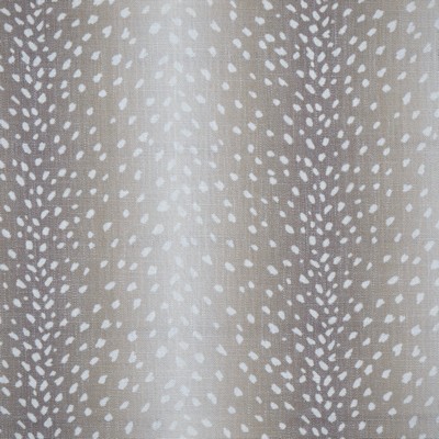 Maxwell Fabrics CHITAL 647 MUSK
