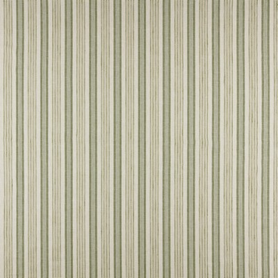 Maxwell Fabrics COTSWOLD # 615 PINE