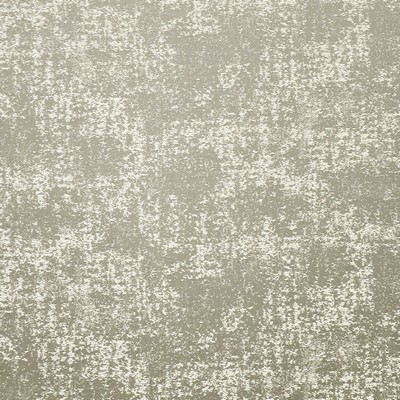 Maxwell Fabrics DIA # 317 STONE