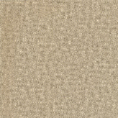 Maxwell Fabrics DOWNSTAGE-NJ # 493 BEACH