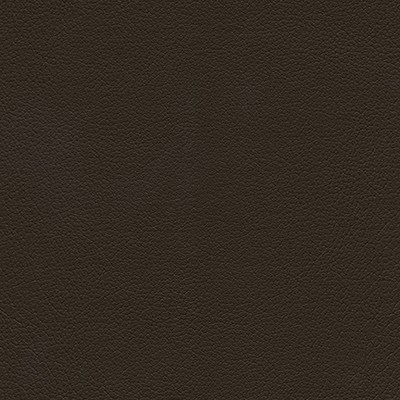 Maxwell Fabrics DOWNTOWN-NJ # 338 COFFEE