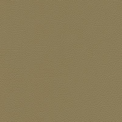 Maxwell Fabrics DOWNTOWN-NJ # 344 DESERT