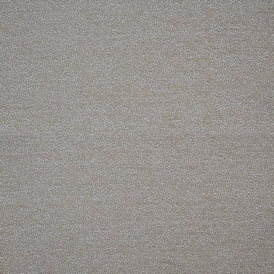 Maxwell Fabrics DOLCETTO 747 BUFF