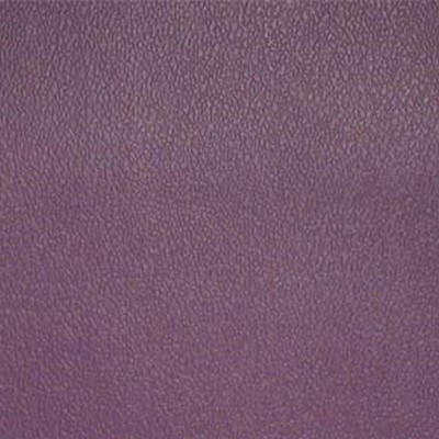 Maxwell Fabrics ESPRIT # 053 PURPLE IRIS
