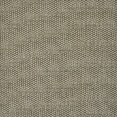 Maxwell Fabrics EMBODY                         711 VOLE               