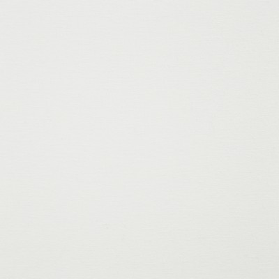 Maxwell Fabrics ELLIOT # 914 SWAN