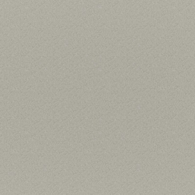 Maxwell Fabrics ERSA # 301 FEATHER