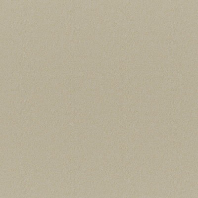 Maxwell Fabrics ERSA # 312 SPONGE