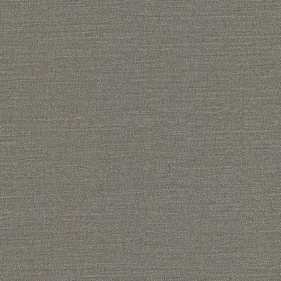 Maxwell Fabrics EQUILIBRIUM-NJ # 242 GRIFFIN