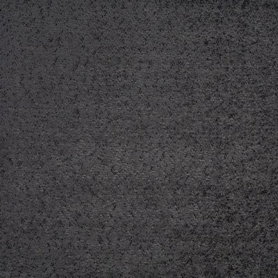Maxwell Fabrics EMERSON # 732 COAL