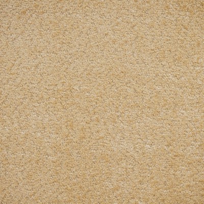 Maxwell Fabrics EMERSON # 845 OAT