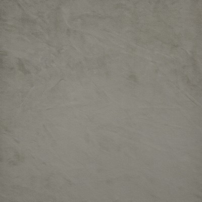 Maxwell Fabrics FIRENZE                        # 513 STINGRAY           