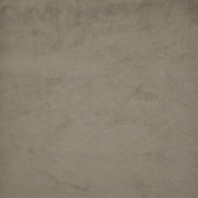 Maxwell Fabrics FIRENZE                        # 517 CHINCHILLA         