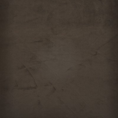 Maxwell Fabrics FIRENZE                        # 521 COFFEE             