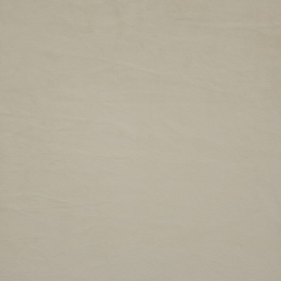 Maxwell Fabrics FIRENZE                        # 522 ECRU               