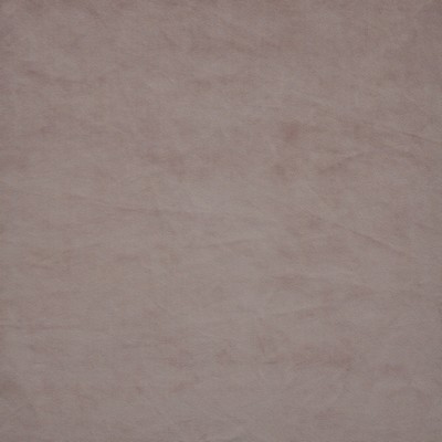 Maxwell Fabrics FIRENZE                        # 525 ORCHID             