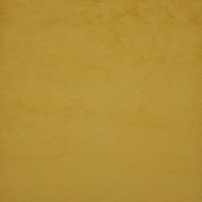 Maxwell Fabrics FIRENZE                        # 535 HONEY BEE          