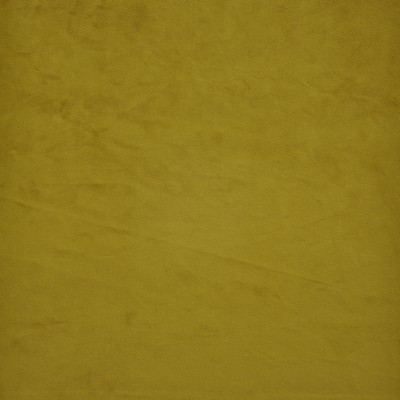 Maxwell Fabrics FIRENZE                        # 536 ACID               