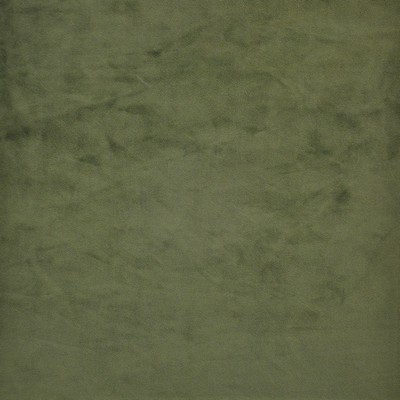 Maxwell Fabrics FIRENZE                        # 538 SAGE               