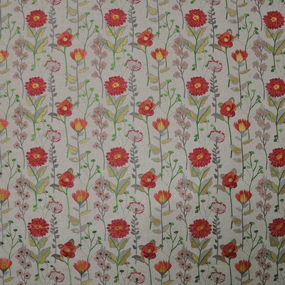 Maxwell Fabrics FERDINAND                      238 GARDEN             