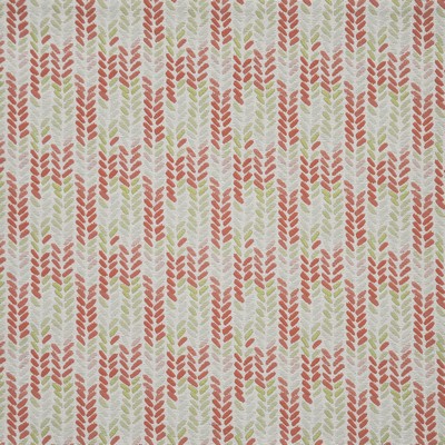Maxwell Fabrics FLEDGELING                     # 425 CORAL              
