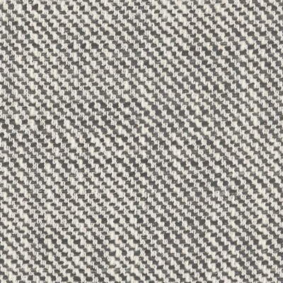 Maxwell Fabrics FERRAN # 305 ZEBRA