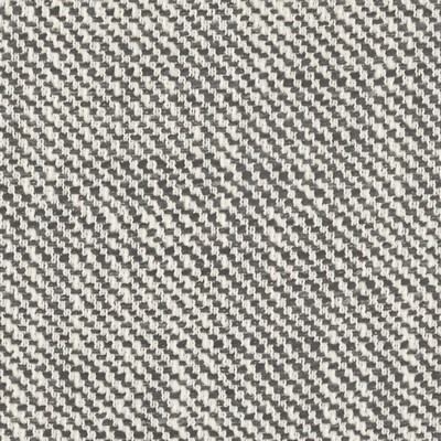 Maxwell Fabrics FERRAN # 305 ZEBRA