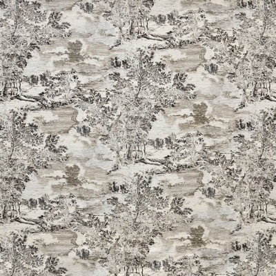 Maxwell Fabrics FABER # 552 ARCHIVE