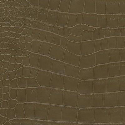 Maxwell Fabrics FLOTILLA-NJ # 467 TEA