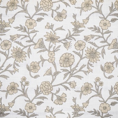 Maxwell Fabrics FRANGIPANI 652 CLARY