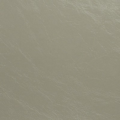 Maxwell Fabrics GLAZE # 104 HAZE