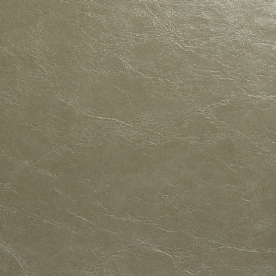 Maxwell Fabrics GLAZE # 107 PUMICE