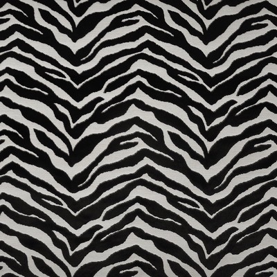 Maxwell Fabrics GAMBIA                         332 ZEBRA              
