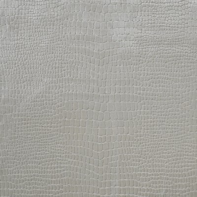 Maxwell Fabrics GRAND CAYMAN                   169 ALBINO             