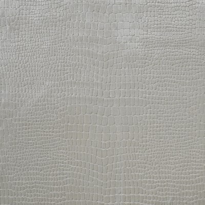Maxwell Fabrics GRAND CAYMAN                   169 ALBINO             
