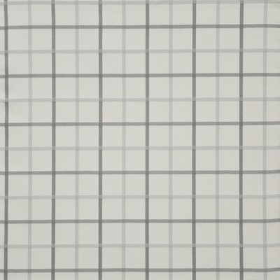 Maxwell Fabrics GRIDLOCK                       # 807 HAZE               