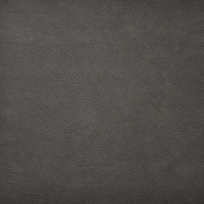 Maxwell Fabrics HIDALGO                        711 HUSKY              