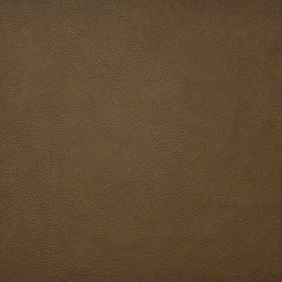 Maxwell Fabrics HIDALGO                        720 WHISKEY            