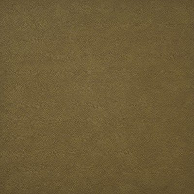 Maxwell Fabrics HIDALGO                        725 HONEY              