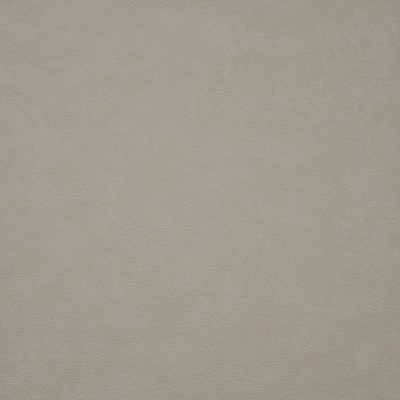 Maxwell Fabrics HIDALGO                        735 CREAM              