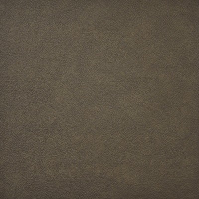 Maxwell Fabrics HIDALGO                        740 COYOTE             