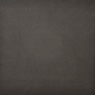 Maxwell Fabrics HIDALGO                        743 ESPRESSO           