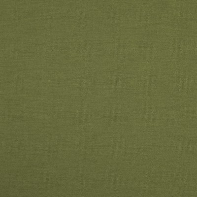 Maxwell Fabrics HATHA                          # 03 PALM                