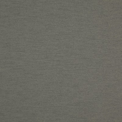 Maxwell Fabrics HATHA                          # 14 EAGLE               