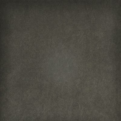 Maxwell Fabrics HEDI                           # 770 MUSHROOM           