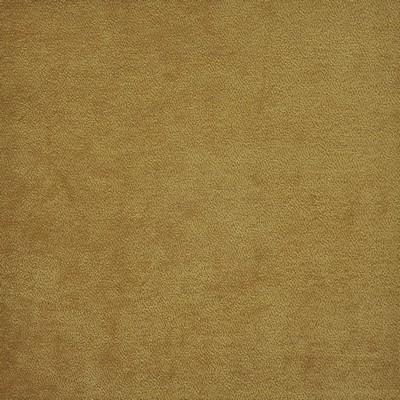 Maxwell Fabrics HYDE                           # 816 HONEY              