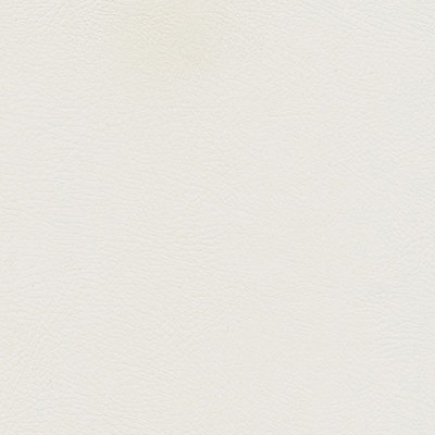 Maxwell Fabrics HERVE-NJ # 733 ARCTIC