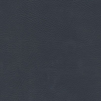 Maxwell Fabrics HERVE-NJ # 735 OCEAN