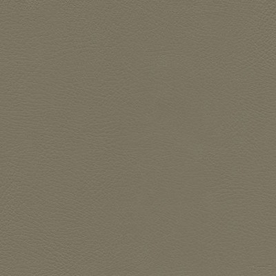 Maxwell Fabrics HERVE-NJ # 741 CAVE